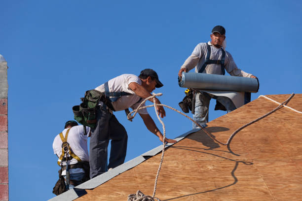 Best Roof Replacement Cost  in Pigeon, MI