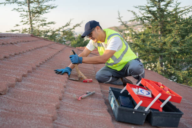 Best Best Roofing Contractors  in Pigeon, MI