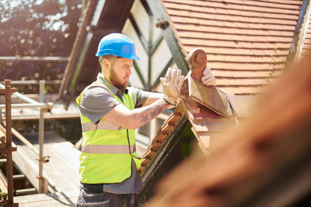 Best Roof Repair Services  in Pigeon, MI