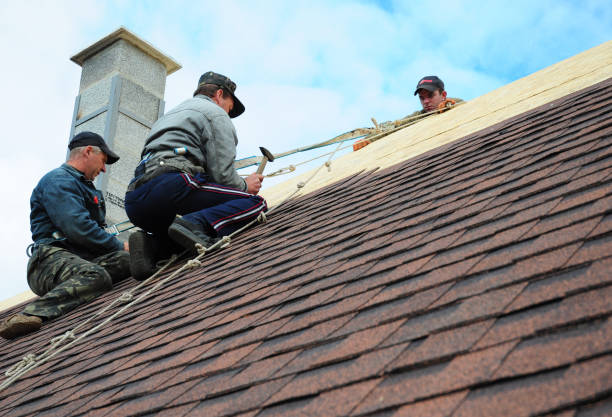 Best Best Roofing Contractors  in Pigeon, MI