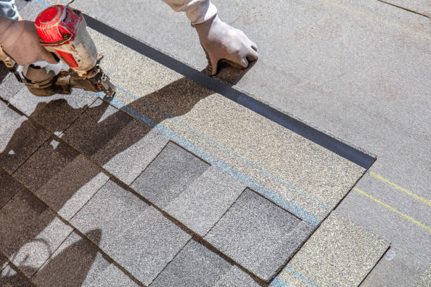 Best Roof Leak Repair  in Pigeon, MI