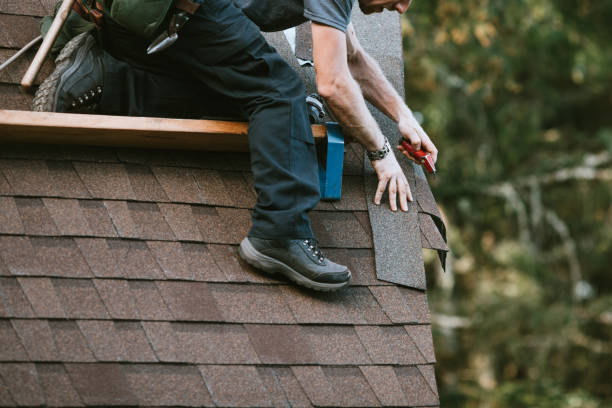 Best Roofing Contractor Near Me  in Pigeon, MI